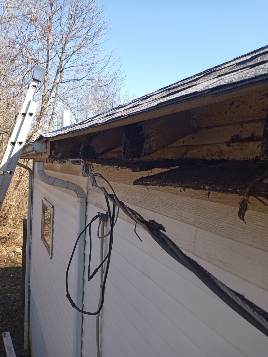 damaged fascia and rafter tails