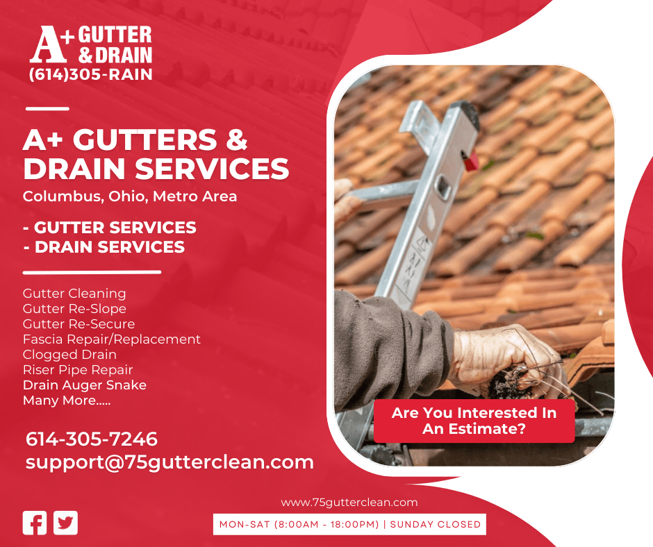 https://www.75gutterclean.com/wp-content/uploads/2023/03/Services_Banner.png